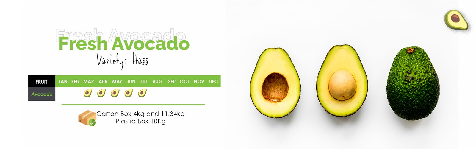 fresh avocado banner