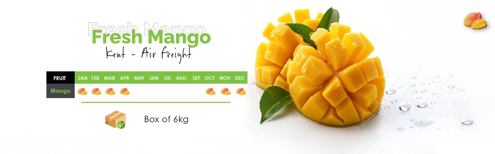 fresh mango air freight banner