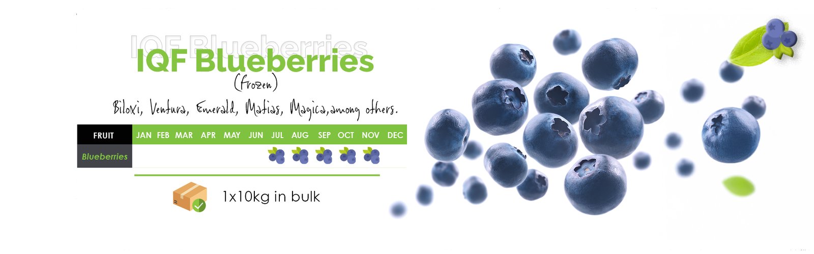 iqf blueberries banner